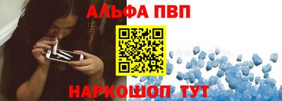 молекула духа Кингисепп