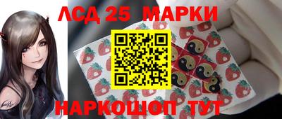 молекула духа Кингисепп