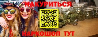 молекула духа Кингисепп