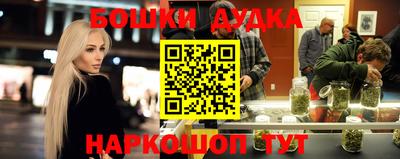 молекула духа Кингисепп
