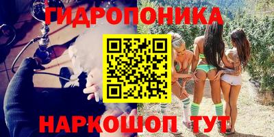 кокс Кимры