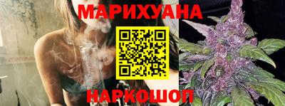 молекула духа Кингисепп