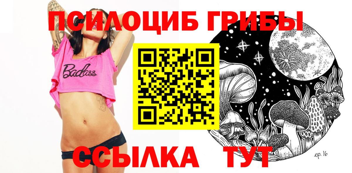 Галлюциногенные грибы Psilocybe Конаково
